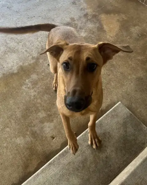 Axel
