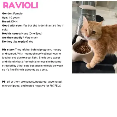 Ravioli Sa Petite Pirate photo 4