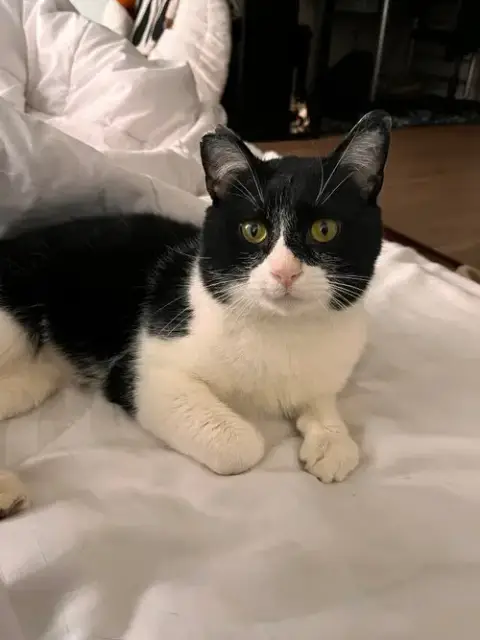 Stanley