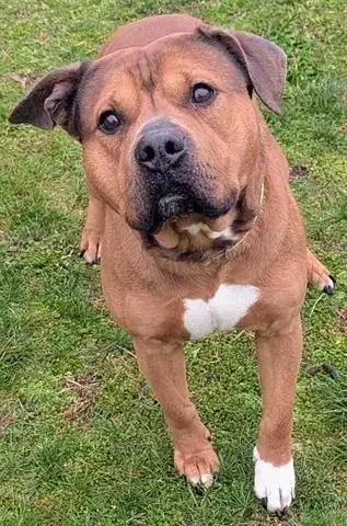Roscoe
