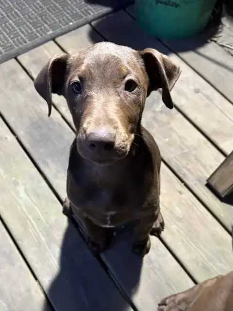 Sally