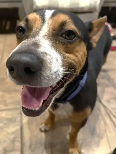 Xp Brody photo 4