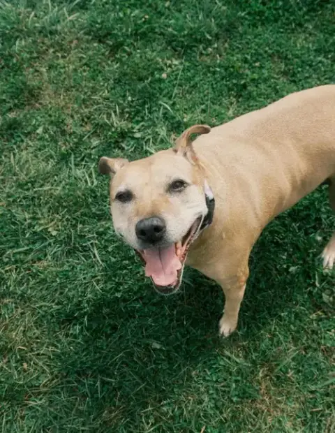 Sadie photo 3