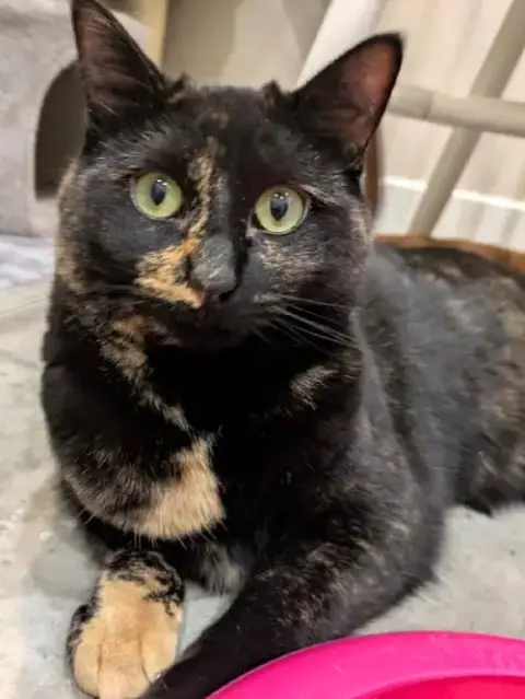 Minnie