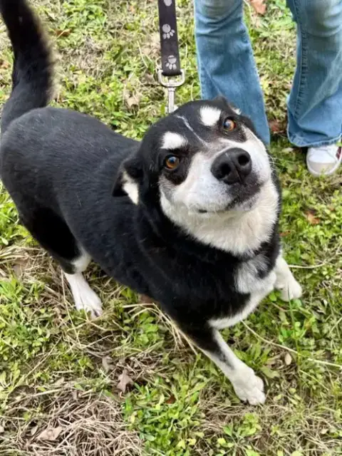 Taz photo 2