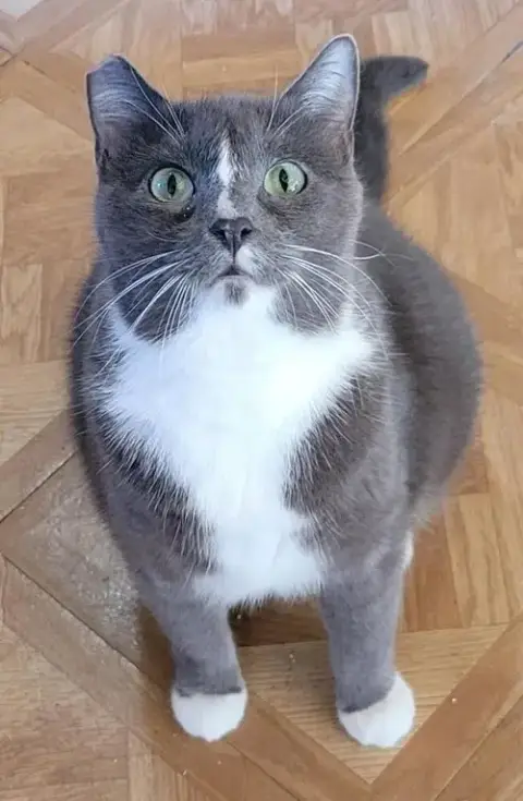 Sophie