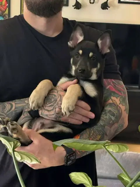 Cali Litter photo 4