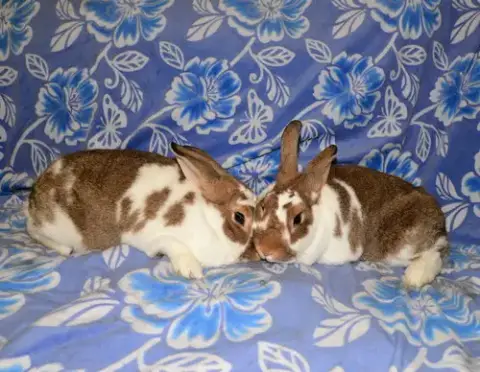 Cloud 9 And Cirrus