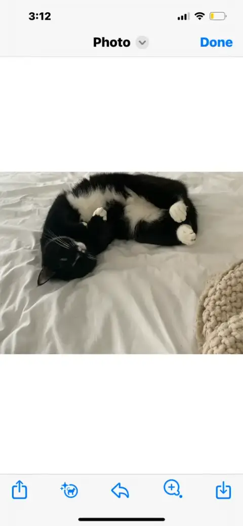Ms. Bella