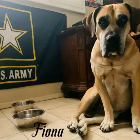 Fiona
