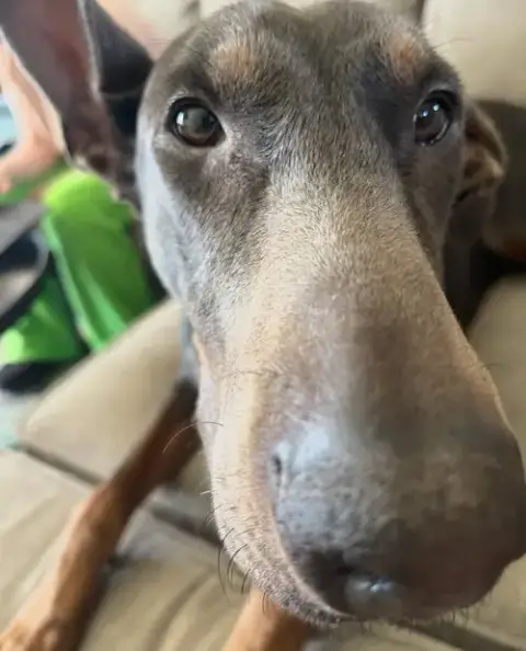 Maggie photo 2