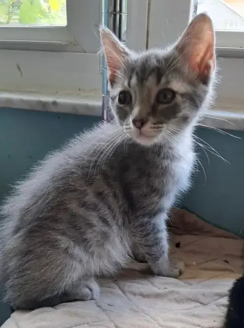 Morty photo 4