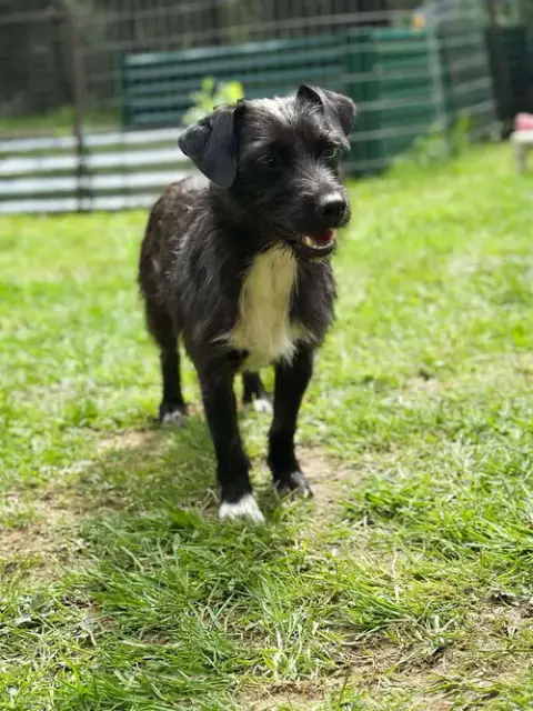 Luna photo 3