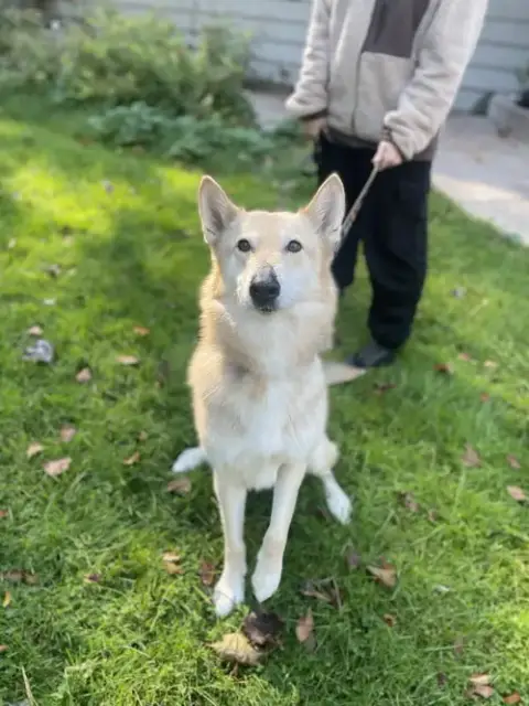 Tobi