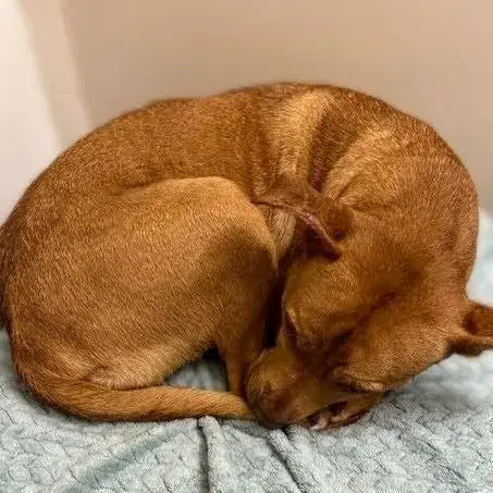 Penny Tn photo 3