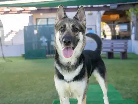 Zelma