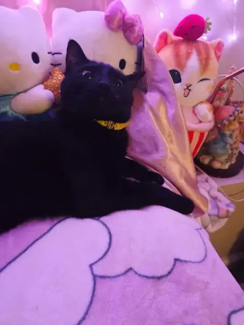 Precious photo 3