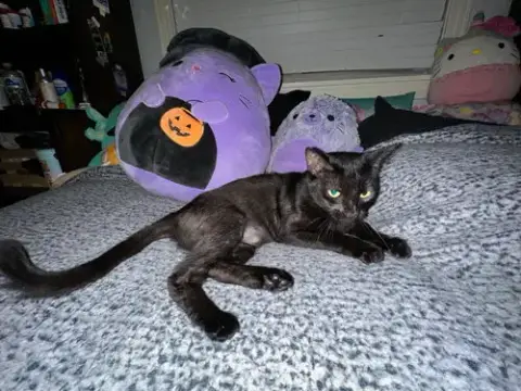 Gemma photo 2
