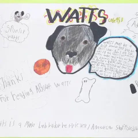 Watts photo 5