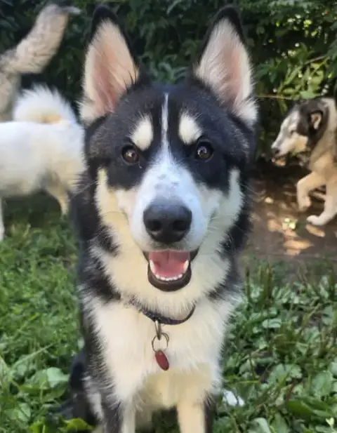 Klondike