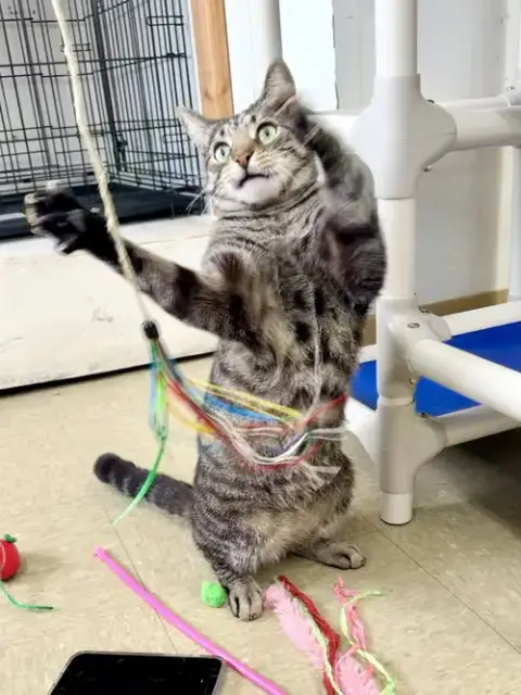 Seamus photo 2