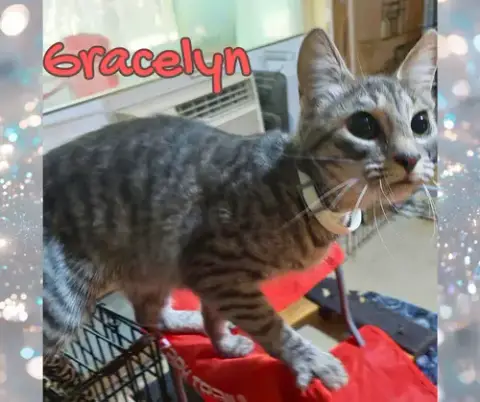 Gracelyn photo 3