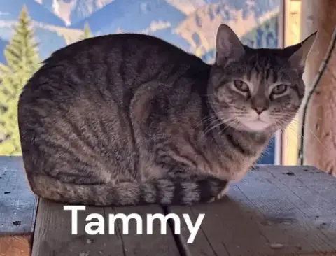 Tammy
