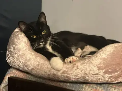 Sabrina photo 3