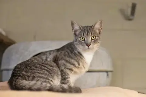 Maggie photo 2