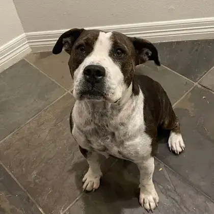 Maggie Mae