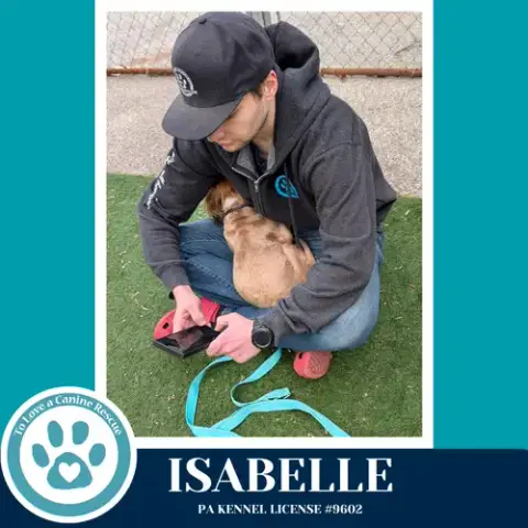 Isabelle photo 3