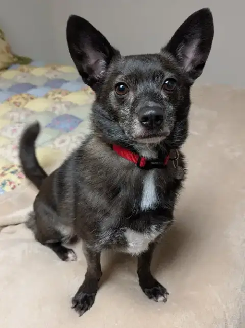 Jake photo 3