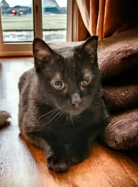 Fritz Fiv+ photo 2