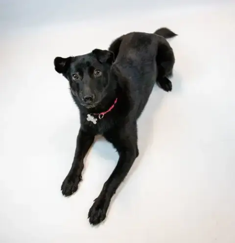 Fiona photo 2