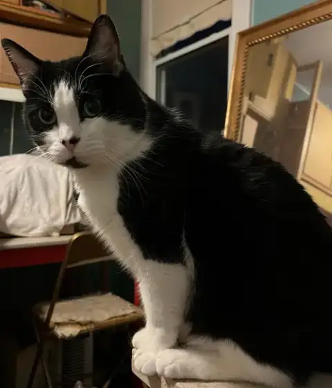 Eddie photo 4