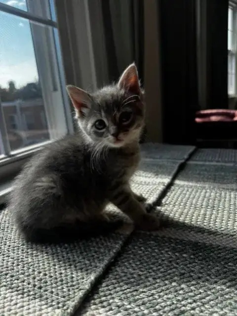 Winnie photo 3