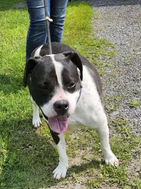 Daisy June photo 4