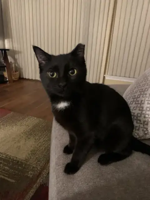 Mercury