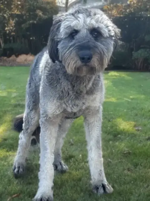 Porter