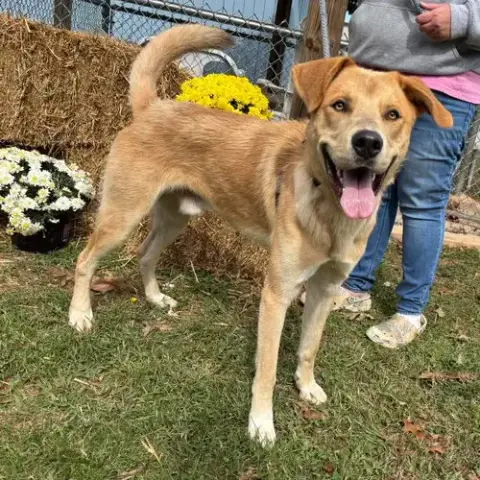 George: Not At Shelter photo 3