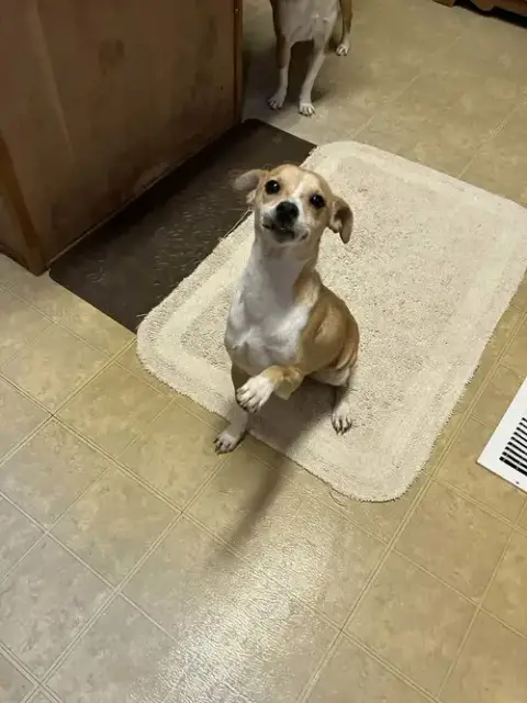 Tina