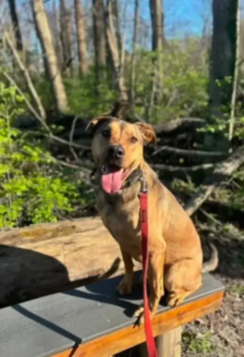 Hank photo 4