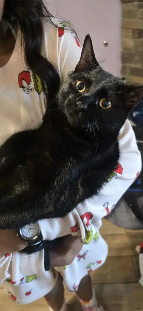 Ronnie