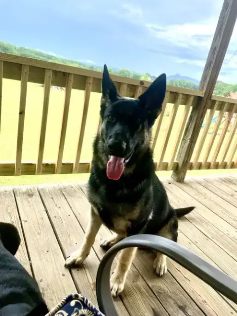 Zeke