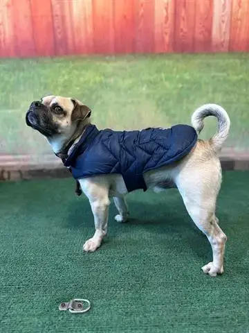 Milo