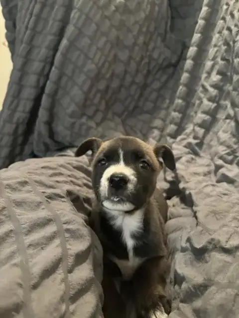 Mae photo 4