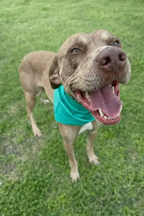 Buddy photo 3
