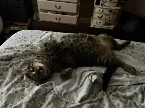Ella Bonded With Copurrnicus photo 2