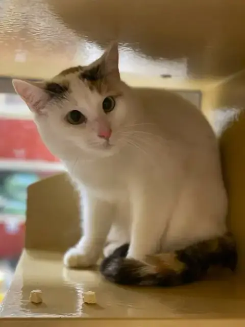 Penelope photo 3