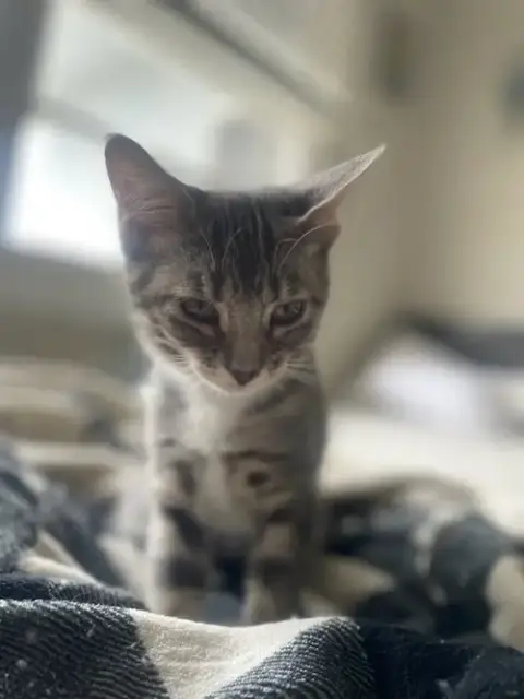 Daisy Lou photo 2